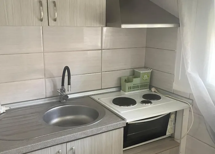 Anastelia - The Backyard